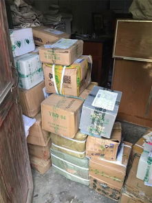 張金寶攜金財(cái)咨詢踐行社會(huì)責(zé)任，共筑鄉(xiāng)村教育未來——記“鄉(xiāng)村學(xué)校圖書室手拉手行動(dòng)”