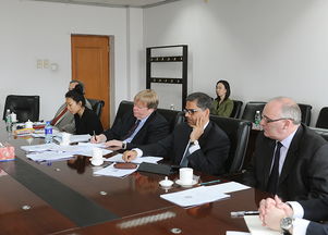 深化國(guó)際合作，共推政府財(cái)務(wù)報(bào)告改革——?jiǎng)⒗?huì)見國(guó)際貨幣基金組織政府綜合財(cái)務(wù)報(bào)告咨詢團(tuán)側(cè)記