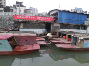 龍川縣畜牧獸醫(yī)漁業(yè)局 推動(dòng)畜牧漁業(yè)飼料銷售，助力現(xiàn)代農(nóng)牧業(yè)發(fā)展