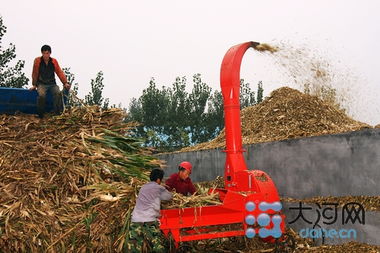 投資6億辦教育，打造畜牧業(yè)名片——記者走訪泌陽(yáng)探尋鄉(xiāng)村振興新路徑