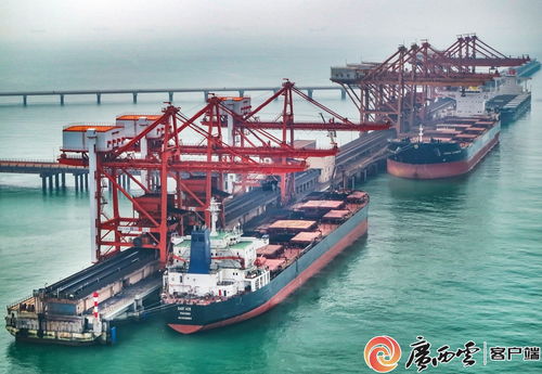 廣西鋼鐵集團(tuán) 以高品質(zhì)產(chǎn)品通過(guò)多項(xiàng)國(guó)際認(rèn)證，助力畜牧漁業(yè)飼料銷售